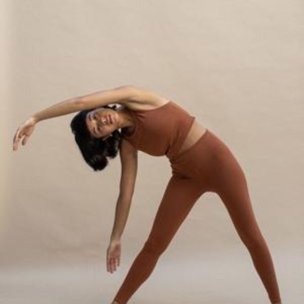 Indigo Luna Organic Cotton Ananda Leggings clay 🌾